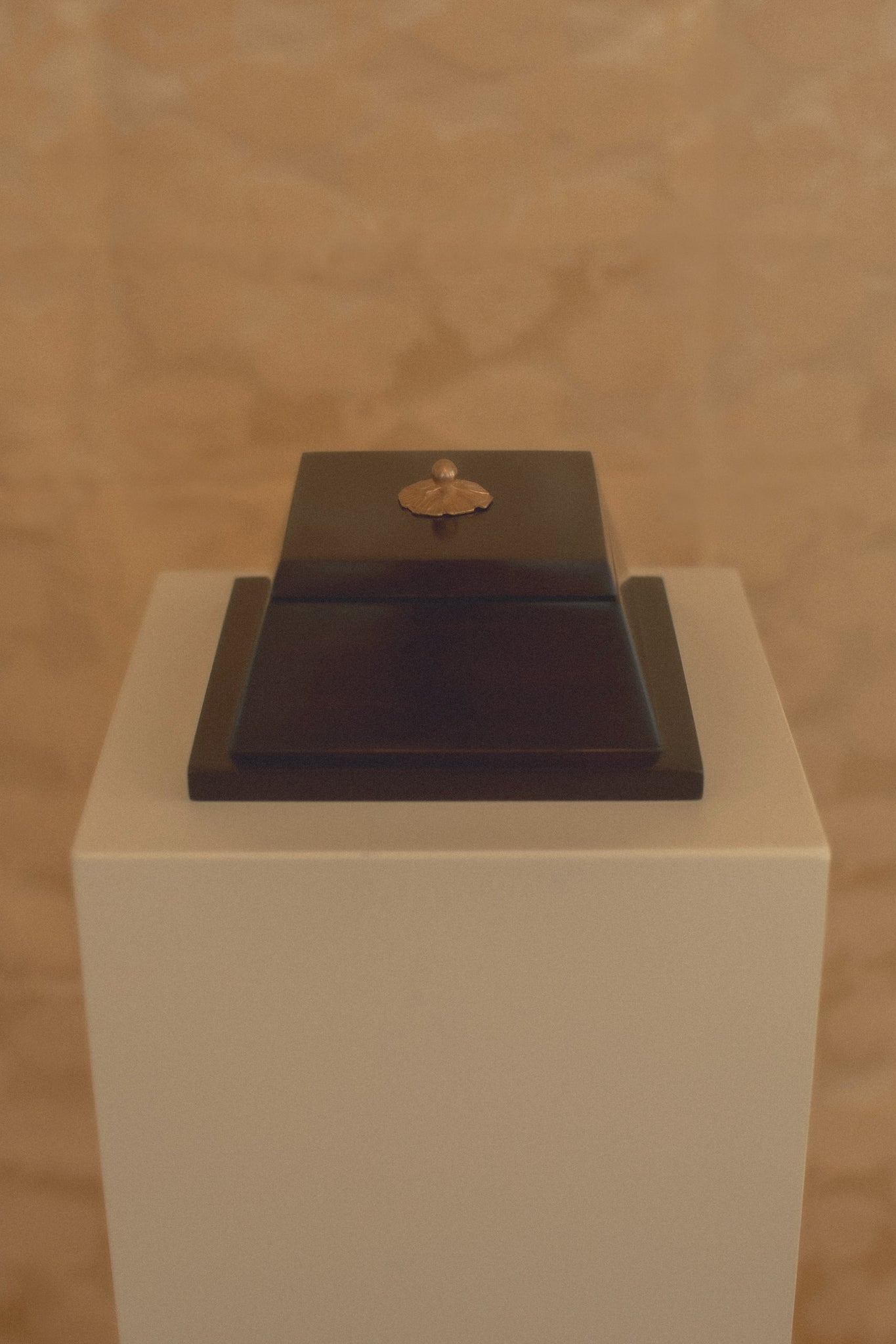Ebonized Walnut Box